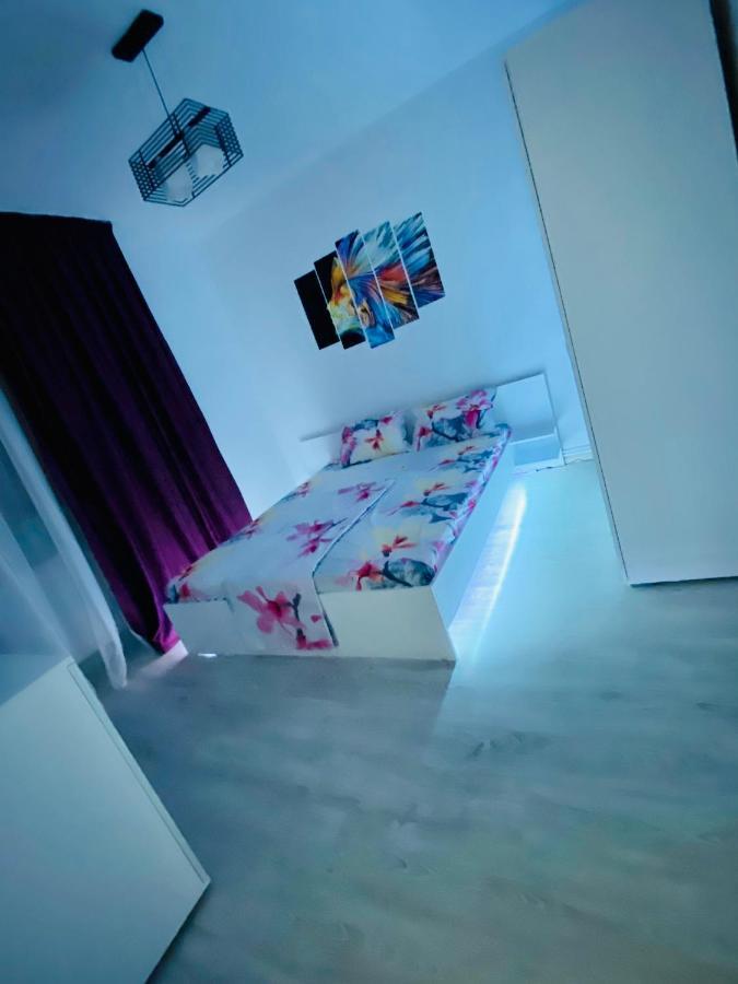 Antonia'S Apartment 康斯坦察 外观 照片